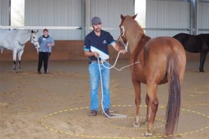 技术贴：最好的脚步前进练习