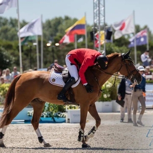 比利时公布2022丹麦海宁场地障碍世界锦标赛参赛名单