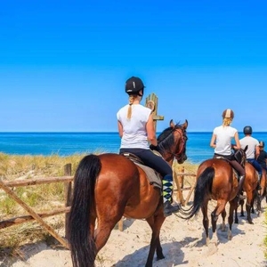 10个要点确保安全的野外骑行