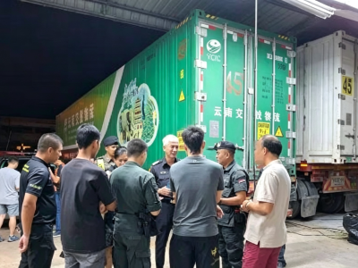 中国货车为何开到泰国榴莲园？当地警方出手调查真相来了