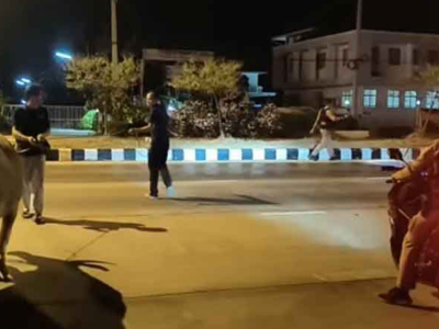 泼水节期间水牛 “出逃”，警方暖心送其回家