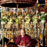 古巴API开光·魅力合欢红药马食能：挽回爱情、提升魅力、招财开运