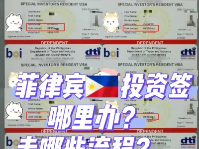 菲律宾严查升级，五大长期签证全面解析与选择指南