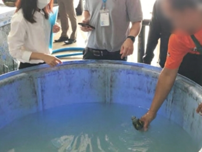 椰子水竟是清水加香精！泰国查获假椰子水黑作坊