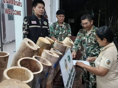 已与老挝展开联合调查！泰国通报湄公河跨国走私象牙案