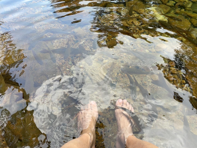 泰国🇹🇭🇹🇭🇹🇭象岛