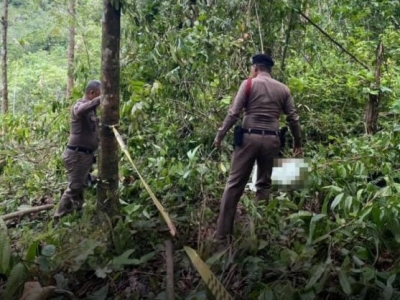 刚卖土地一个月就遇害！泰56岁园主林地干活惨遭乱枪射杀