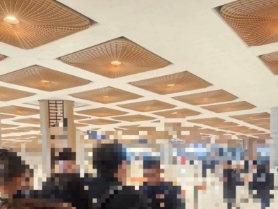 柬埔寨入境严查！商务签也可能被遣返