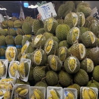 在泰国三实现榴莲，我哭了，谁懂啊家人们！！