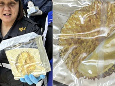 榴莲里全是毒！248公斤冰毒差点运进泰国
