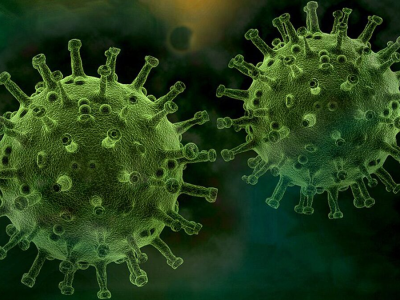 新冠变种“蝉病毒”再现？官方：仍处监测阶段