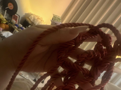 我要找那个绳师，我要学会绳艺了绑我的小狗