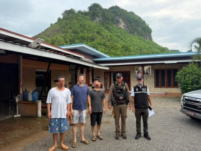 泰国北碧边境抓获3名中国男子,涉非法入境调查