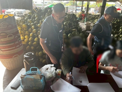 震惊！中国资本垄断泰椰子市场，6厂椰子收购价仅2泰铢一颗