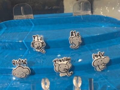 泰国快闪的暻秀小象🐘好可爱 还有👑键帽 ​