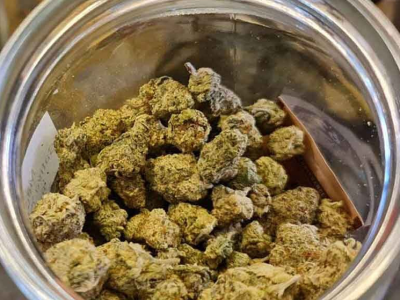 泰国5月16日出台大麻新规：全面收紧商业销售