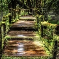 泰国茵他农必打卡｜瓦吉拉坦瀑布与Angkha自然走道全攻略