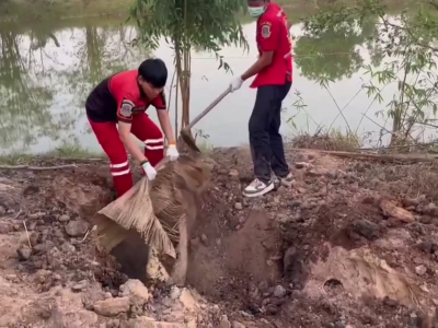 泰国杀人埋尸案：弟妹持木棒当众痛击姐夫致死，并掩埋
