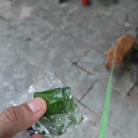 久违的鲜槟榔，没想到在这里又遇到了