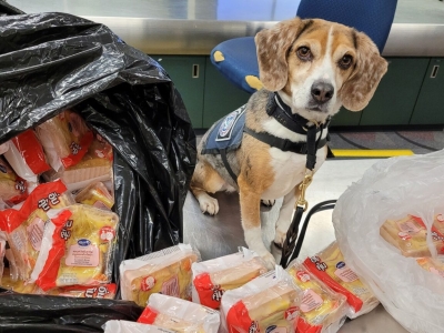 百余份泰国三明治被销毁！美国海关严查违规入境肉制品