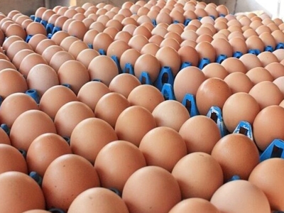 泰国蛋价上调，3月16日起生效