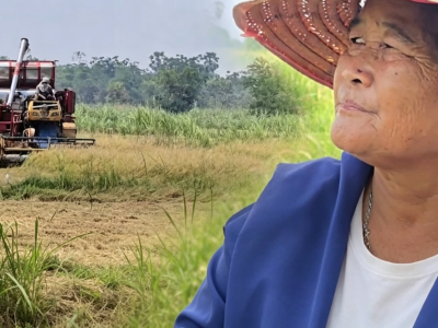 燃油价格上涨成本失控，泰国农民集体停耕