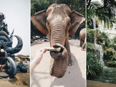 🌿 泰国大象丛林保护区体验指南：和温柔巨兽的近距离互动
