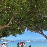 夏季的泰兰德夯爆了