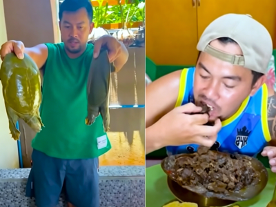 繁殖力强！中华鳖入侵菲律宾渔场，被当地民众端上餐桌