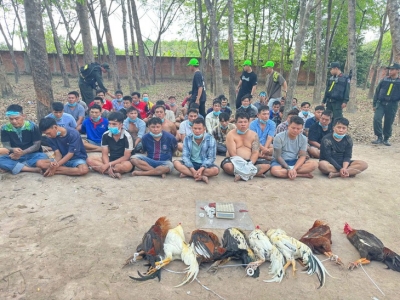 越南警方查封多个赌博斗鸡窝点，涉赌人员达80余人