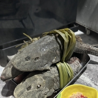 在越南吃清道夫是个啥滋味？