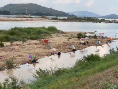 湄公河沿岸掀淘金热潮，村民日均收入达1000至1500泰铢