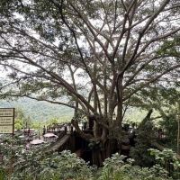 纯记录生活，不想修饰太多。
