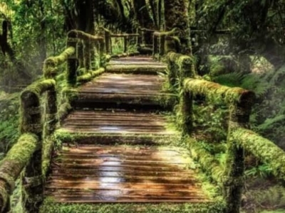 泰国茵他农必打卡｜瓦吉拉坦瀑布与Angkha自然走道全攻略