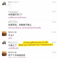 在泰中国留学生涉虐猫？猫主报警，警方已介入调查