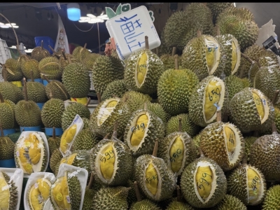 在泰国三实现榴莲，我哭了，谁懂啊家人们！！