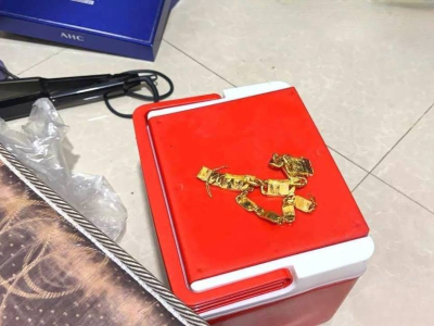 西港盗窃案侦破！中国男子伙同两名柬籍人员被移送法院