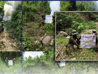 菲律宾铲除北部山区数万株大麻，价值近3000万比索！