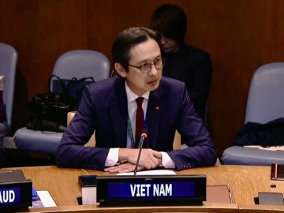 越南常驻联合国代表：TAC巩固东盟核心，促进亚太安全