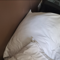 泰国的小费文化真不敢恭维，到处都要小费