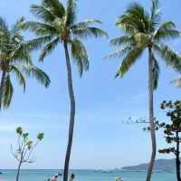 宝宝 其实你根本没有泰兰德病.
