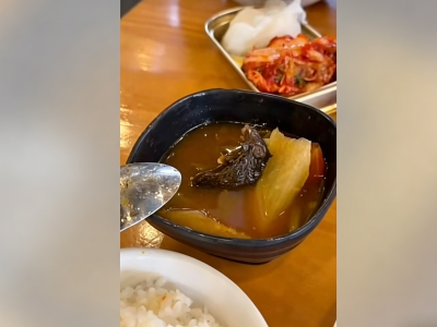这谁还敢吃？菲律宾网红餐厅被曝汤里有老鼠