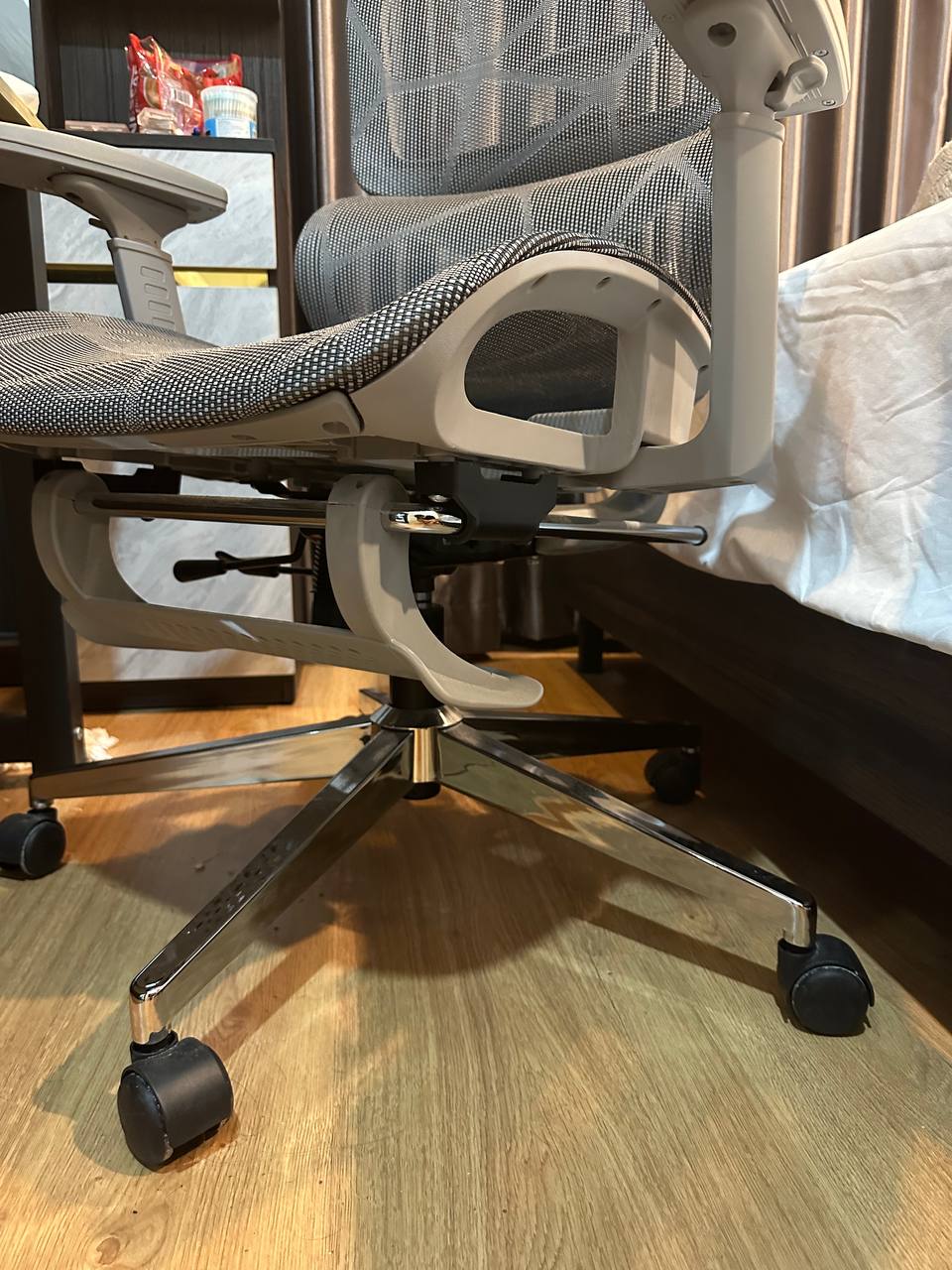 IMAGE 2026-02-08 20:27:13.jpg