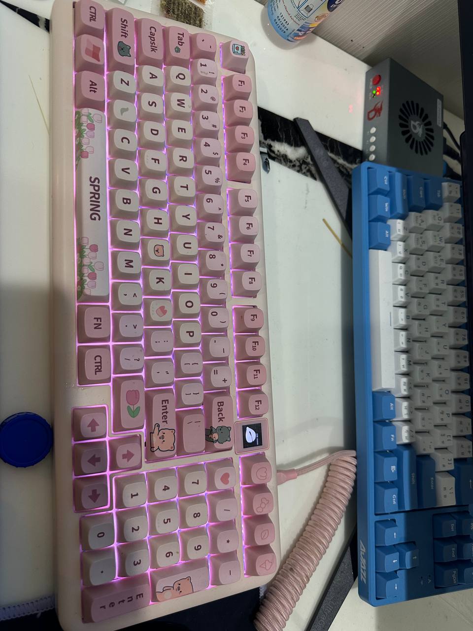 IMAGE 2026-02-08 20:28:21.jpg