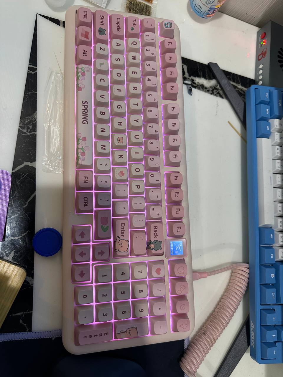 IMAGE 2026-02-08 20:28:22.jpg