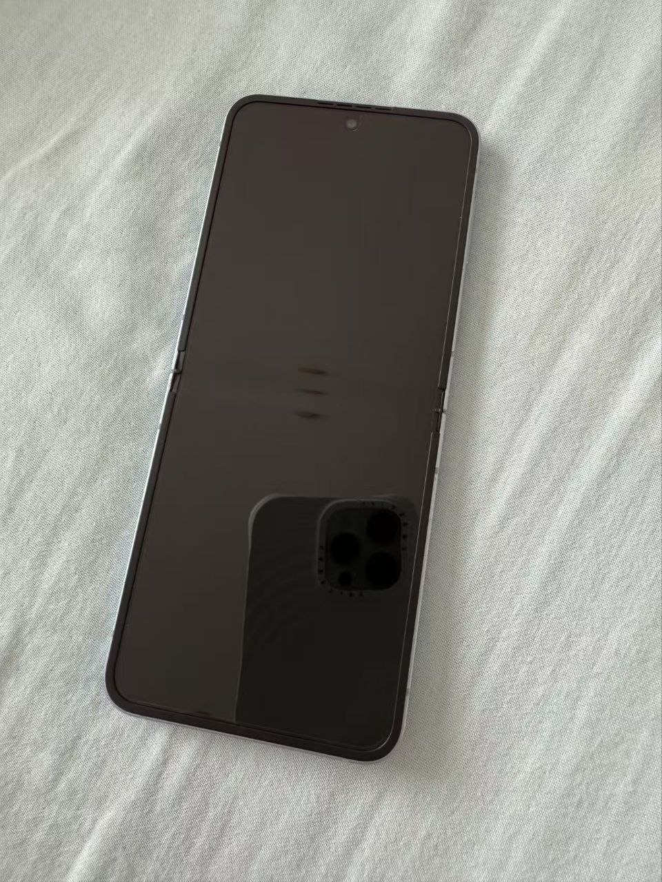 IMAGE 2026-02-09 15:09:33.jpg