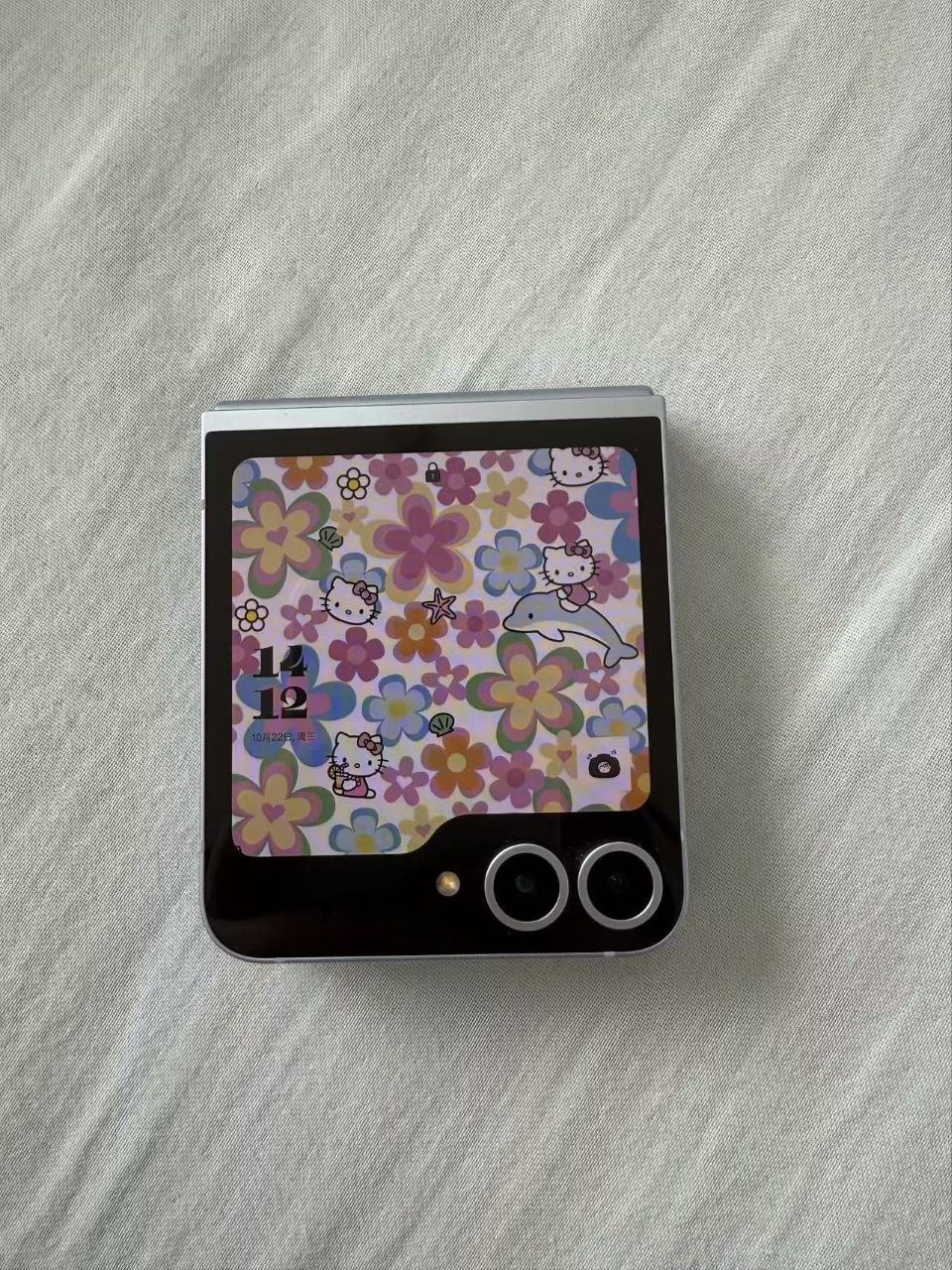 IMAGE 2026-02-09 15:09:35.jpg