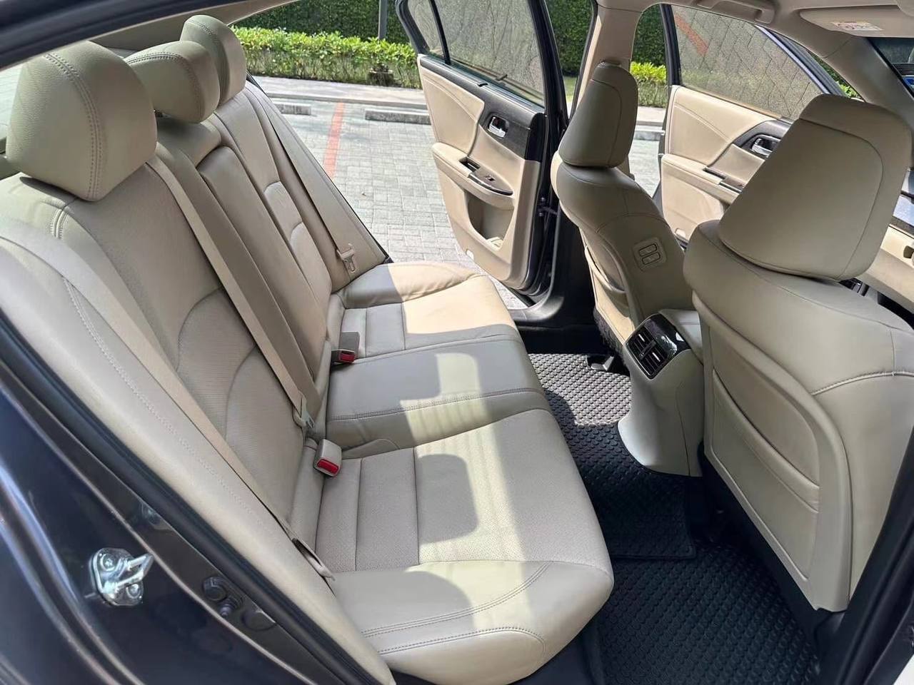 IMAGE 2026-02-09 15:11:52.jpg