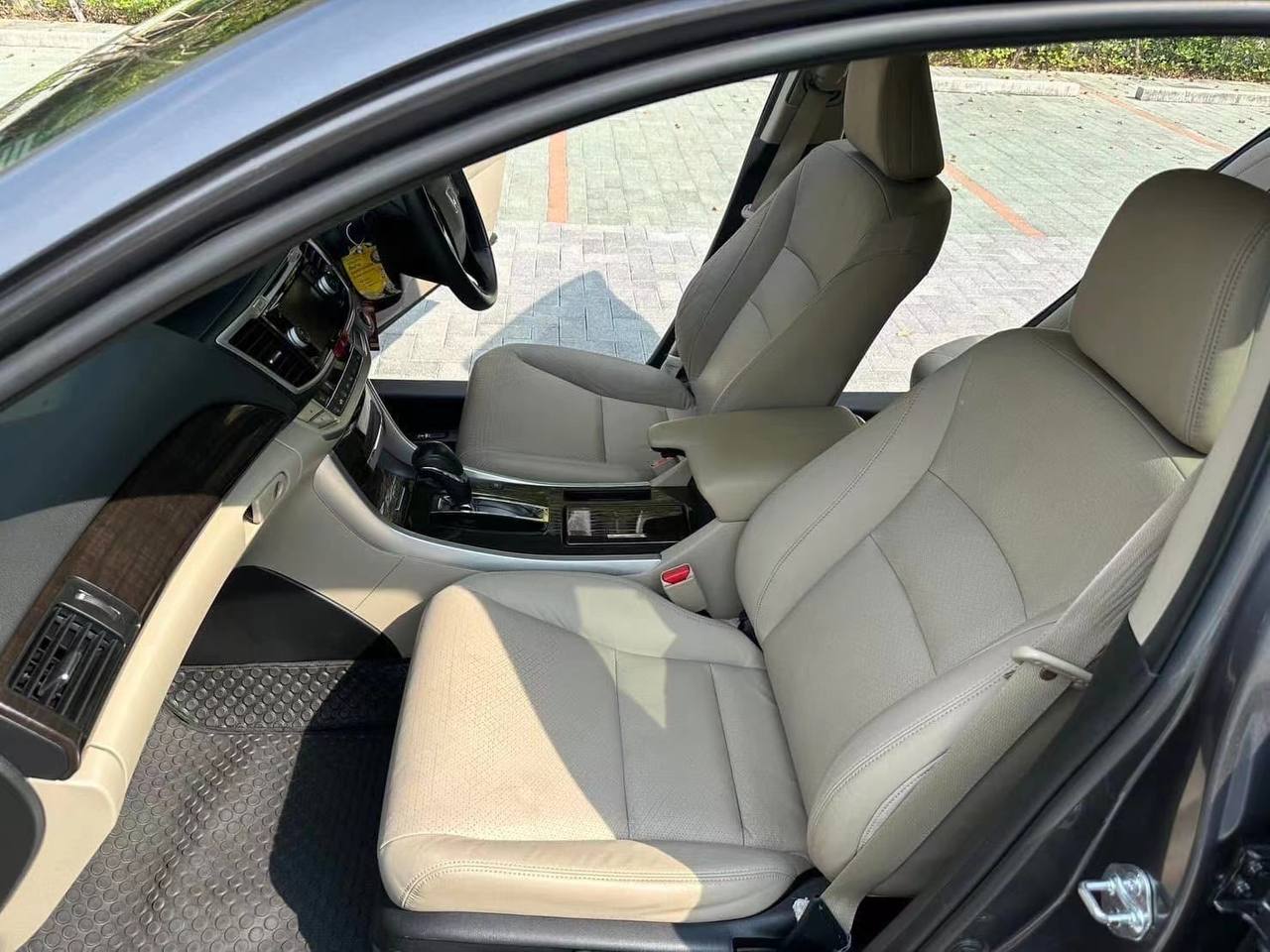 IMAGE 2026-02-09 15:11:53.jpg