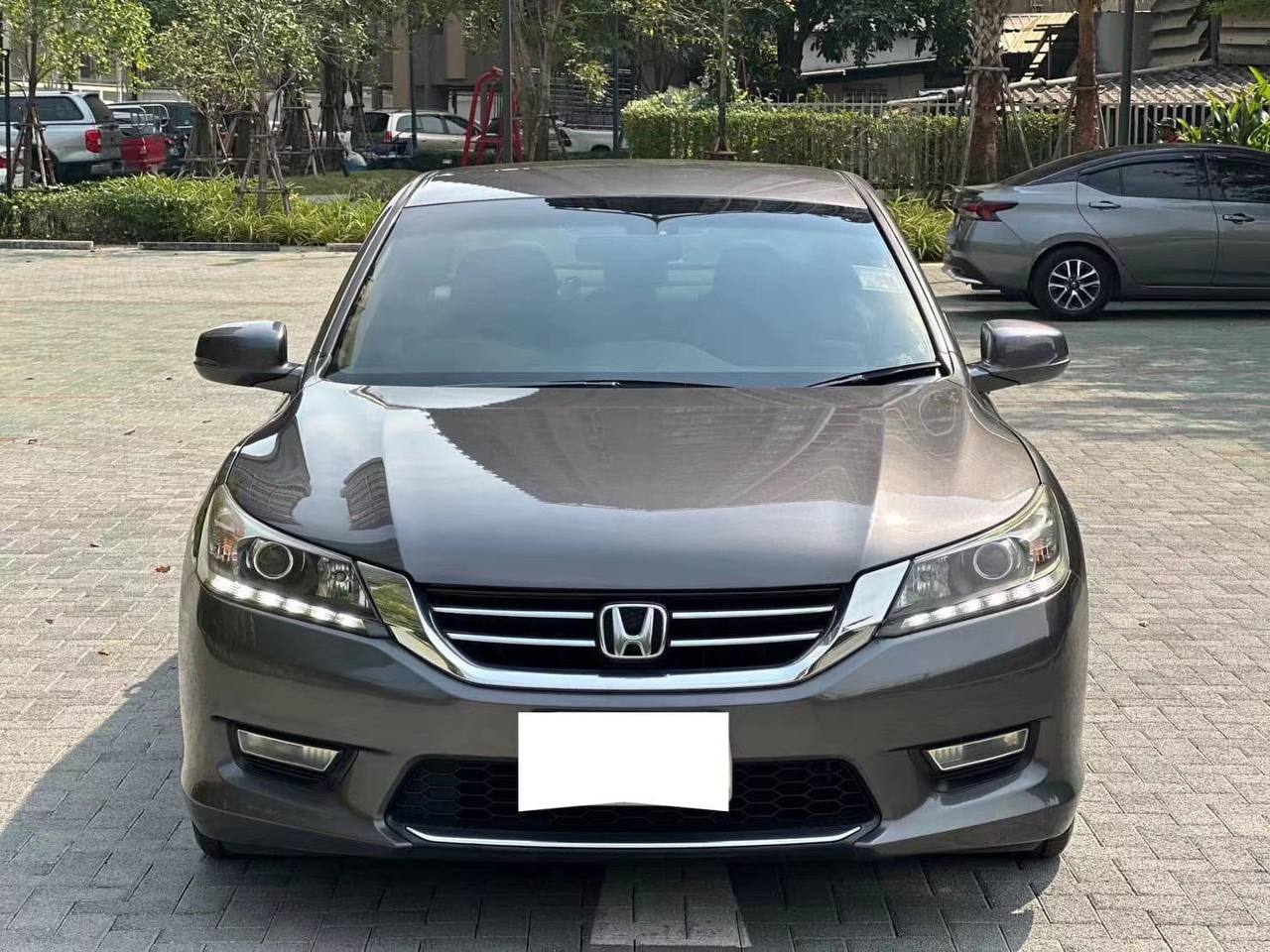 IMAGE 2026-02-09 15:11:58.jpg